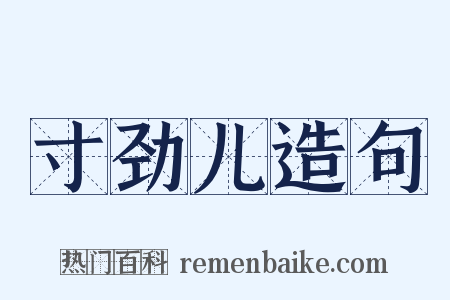 寸劲儿造句是什么意思的图片